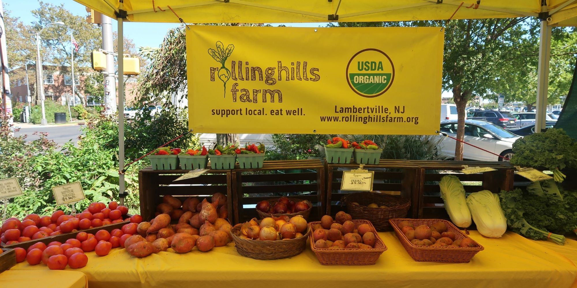 Market operations experience